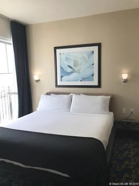 Congress Hotel - Strand Condo #D206 image #11