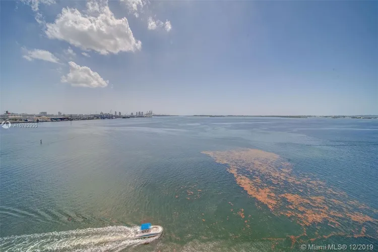 Two Tequesta Point #1002 image #14