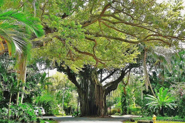 Lofts at Mayfair #PH-27 image #20