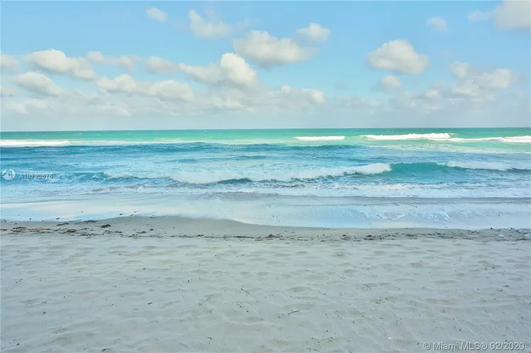 Alexander Towers #1012 image #27