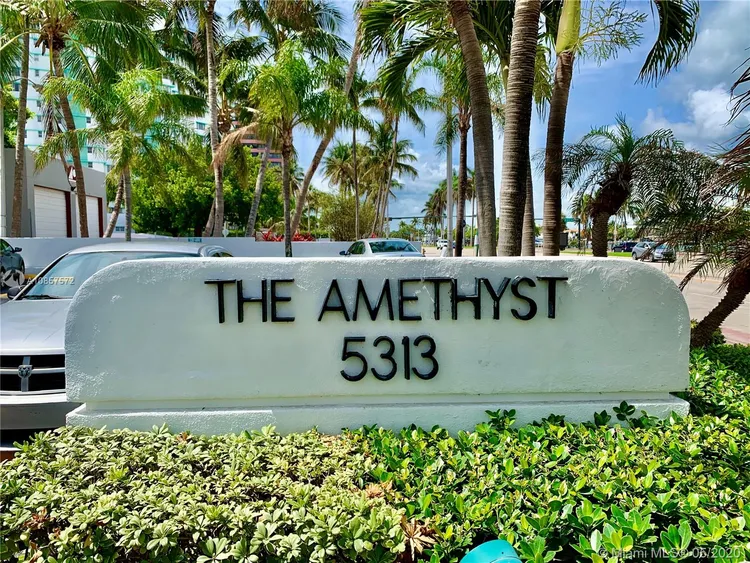 The Amethyst #1009 image #65