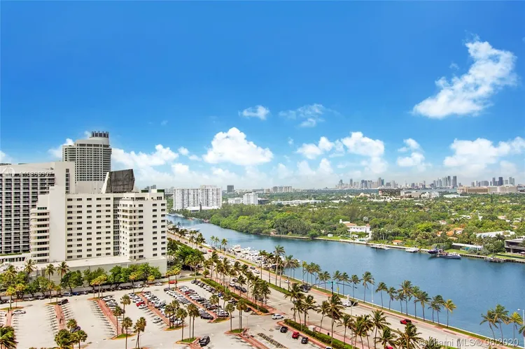 Mimosa #PH05 image #13