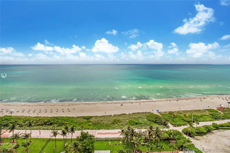 Mimosa #PH05 image #15