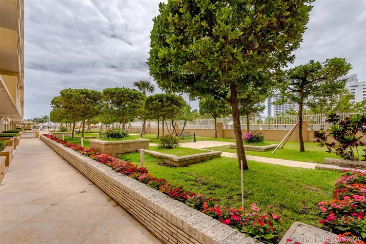 Mimosa #911 image #24