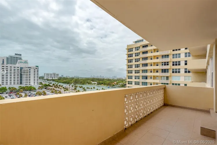 Mimosa #911 image #6