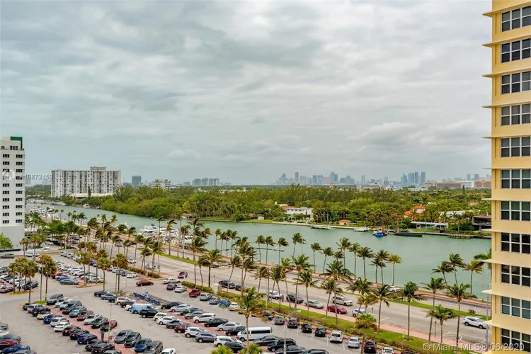 Mimosa #911 image #7