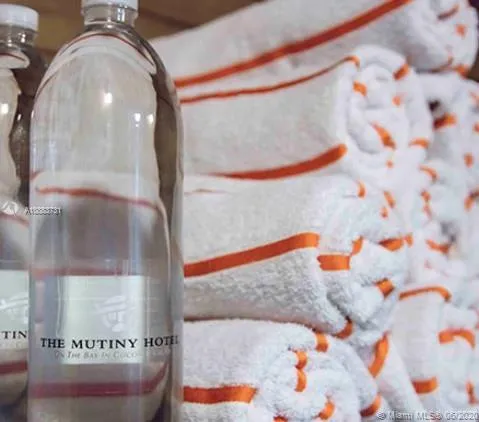 The Mutiny #515 image #19