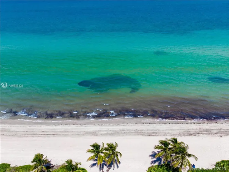 Parker Tower #1609 image #26