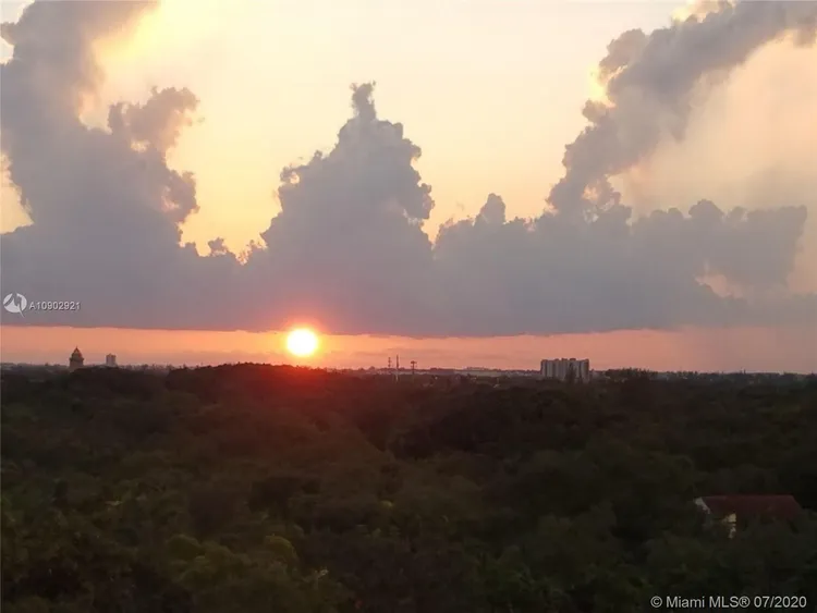 David William #910 image #21