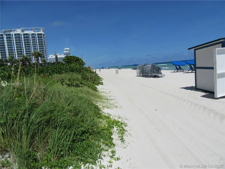 Akoya #CAB29 image #26