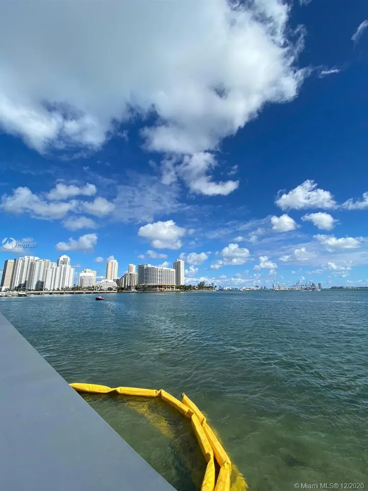 The Mark #2902 image #40