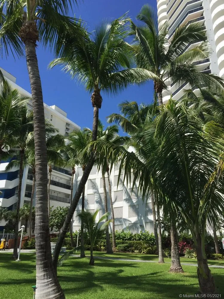 La Gorce #2802 image #18