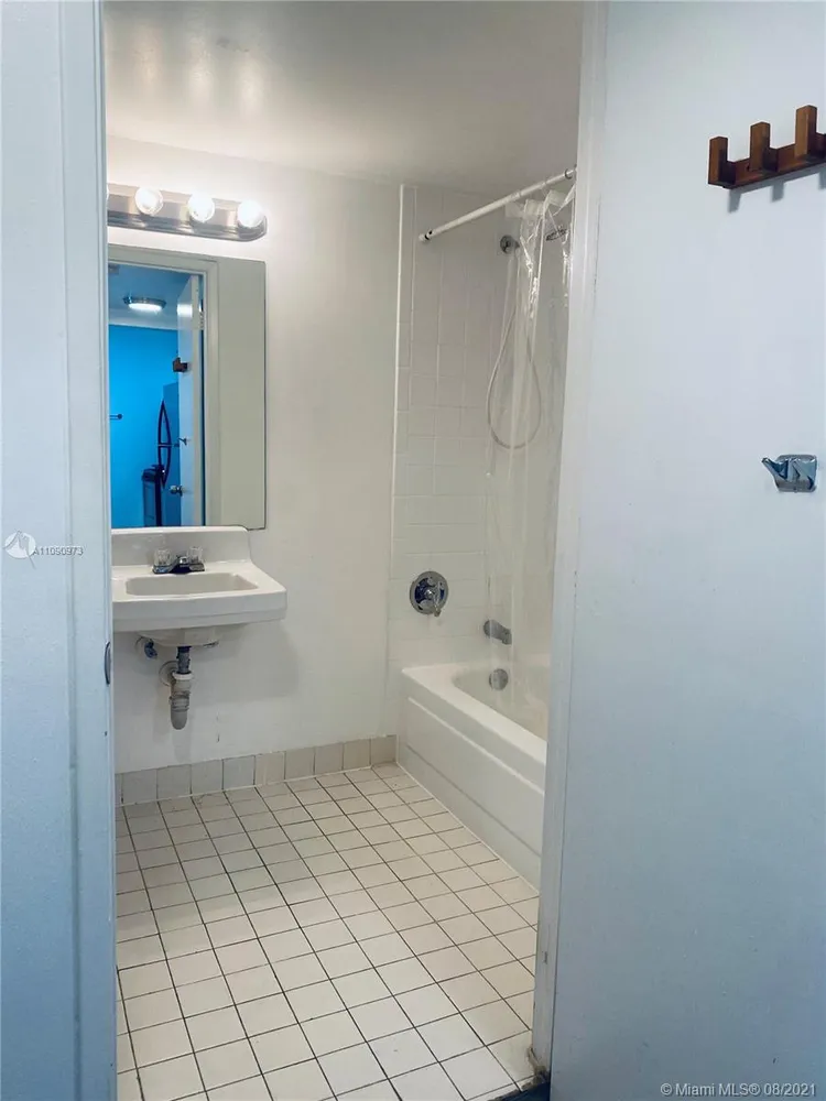 Madison Downtown #W-206 image #10