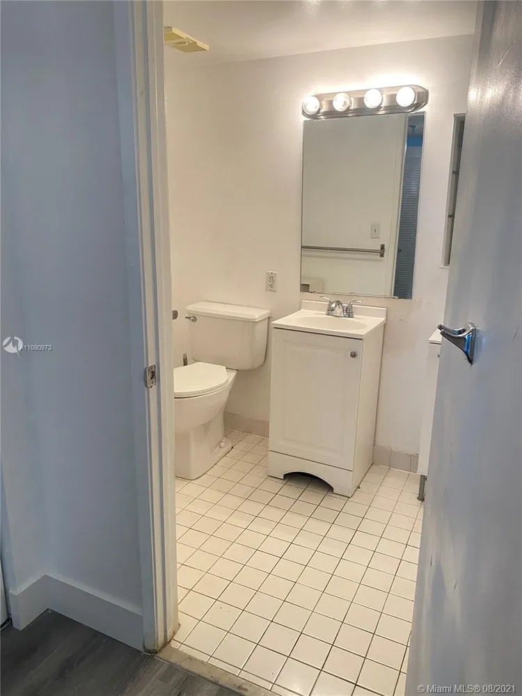 Madison Downtown #W-206 image #11