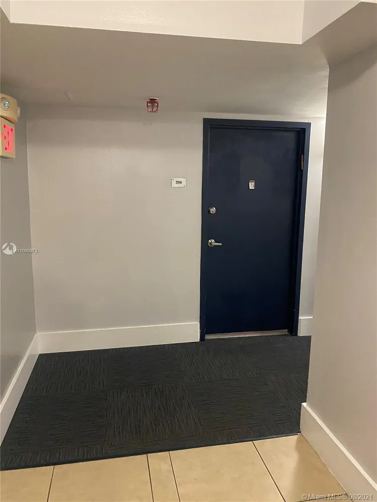 Madison Downtown #W-206 image #12