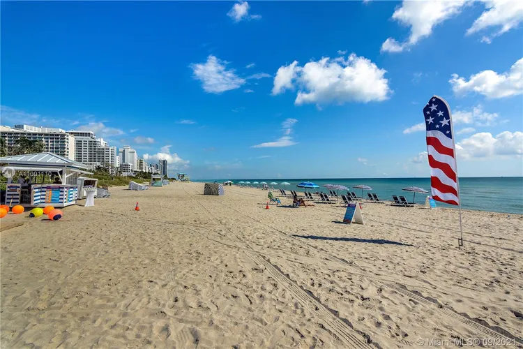 The Alexander #717 image #14