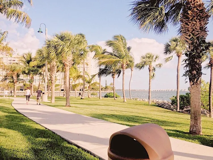 Opera Tower #1609 image #27