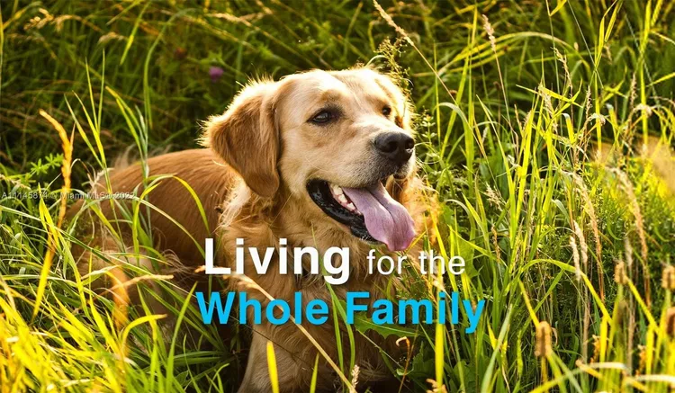 Yacht Club at Brickell #3011 image #49