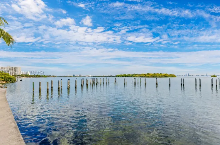 Nirvana 1 #A114 image #28