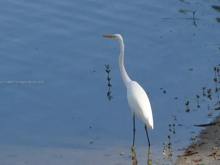 Padua Condo Deering Bay #221 image #37