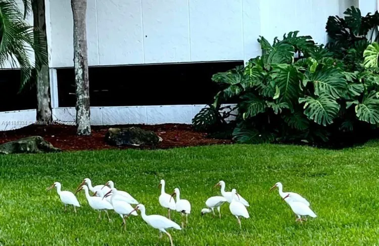 Towers of Quayside Condo #4 #303 image #44