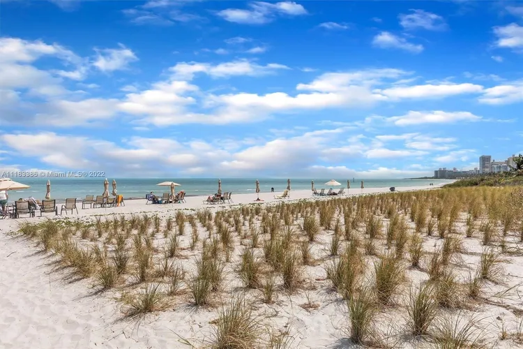 Key Colony IV Botanica #454 image #22