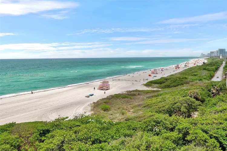 Tropicana #704 image #11