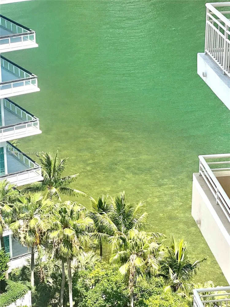 One Tequesta Point #1500 image #14