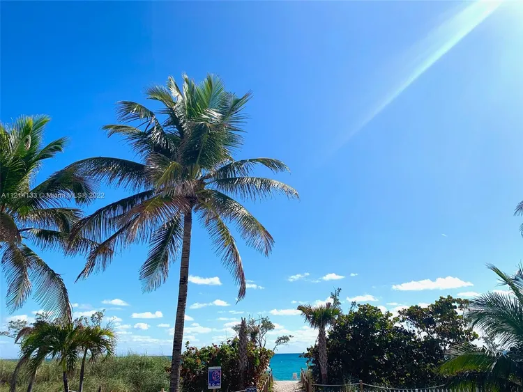 Imperial House #8D image #37