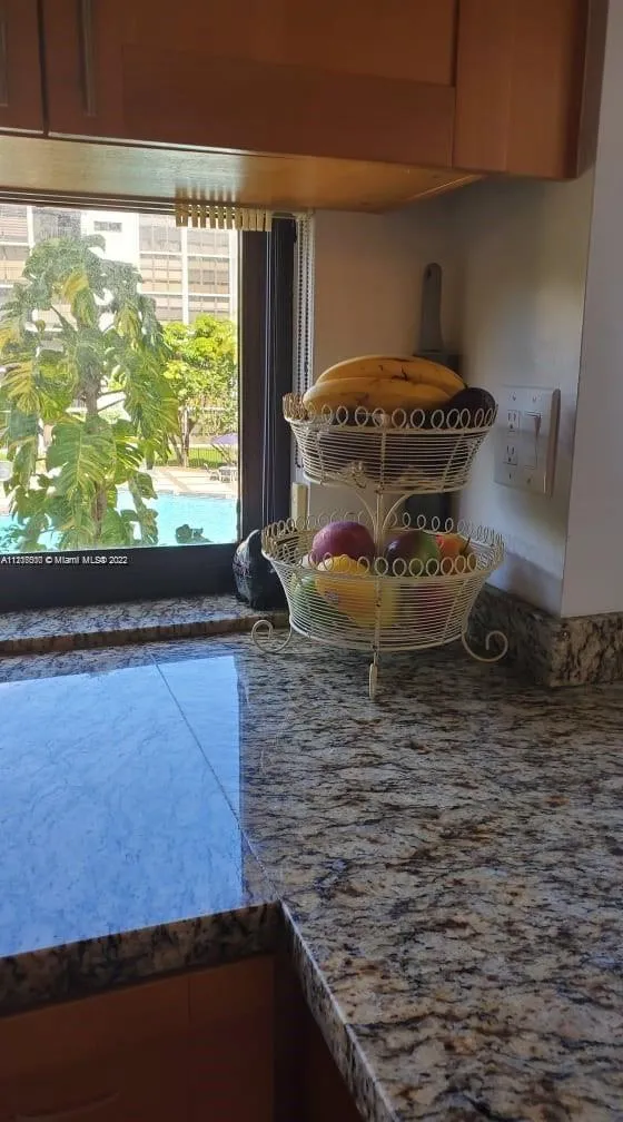 Plaza of the Americas #304 image #12