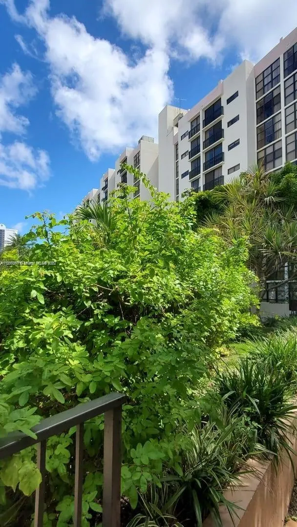 Plaza of the Americas #304 image #29