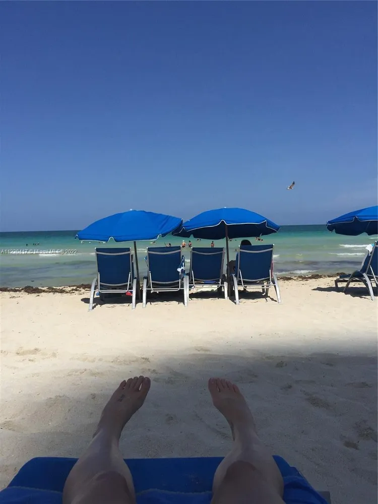 Akoya #2811 image #8