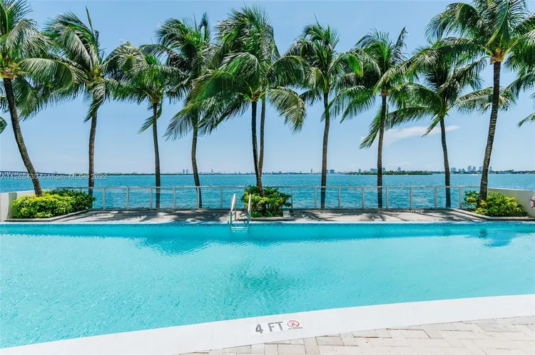 Onyx #2503 image #25