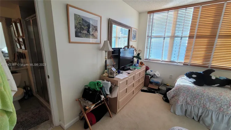 St Louis Condo #1305 image #32