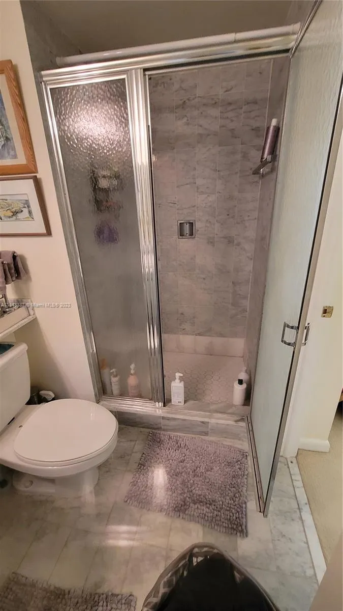 St Louis Condo #1305 image #37