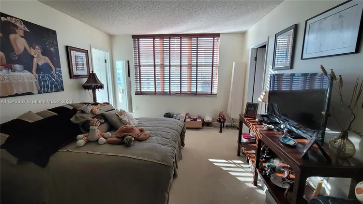 St Louis Condo #1305 image #40