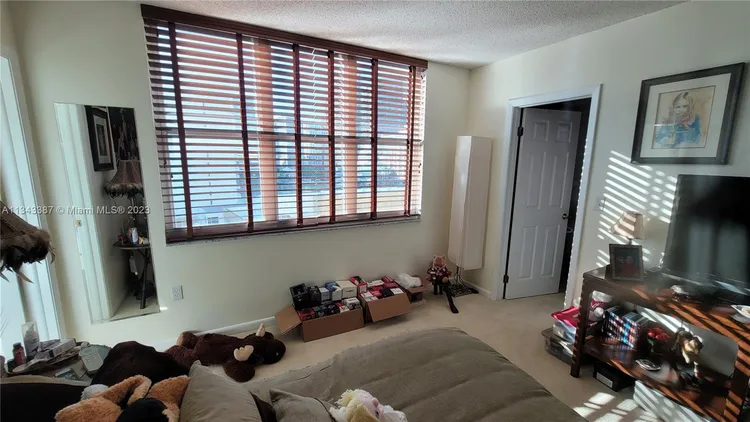 St Louis Condo #1305 image #41