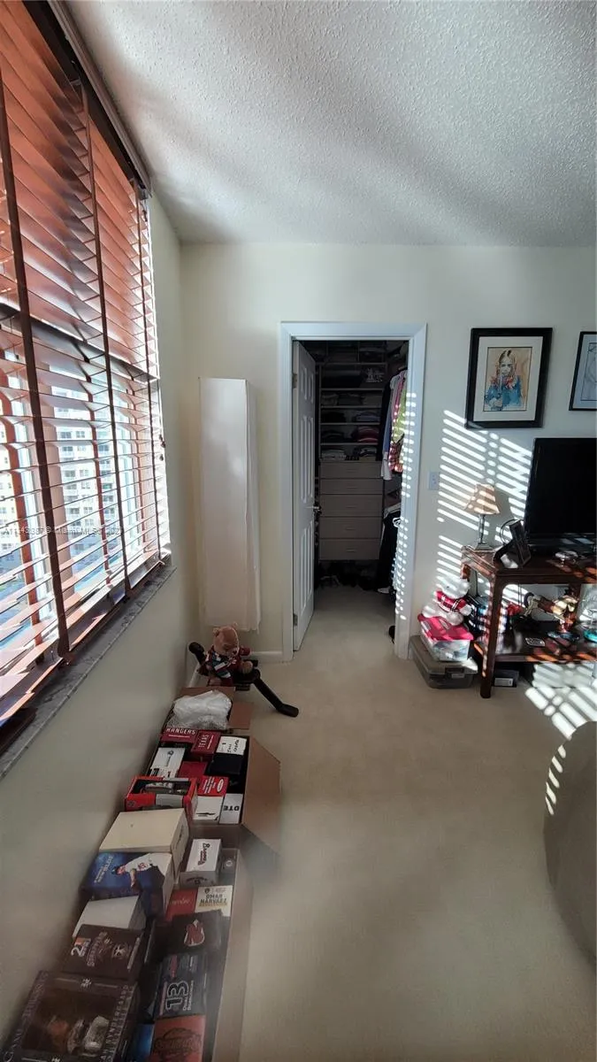 St Louis Condo #1305 image #43