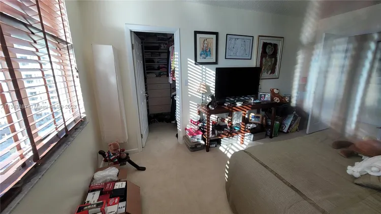 St Louis Condo #1305 image #44