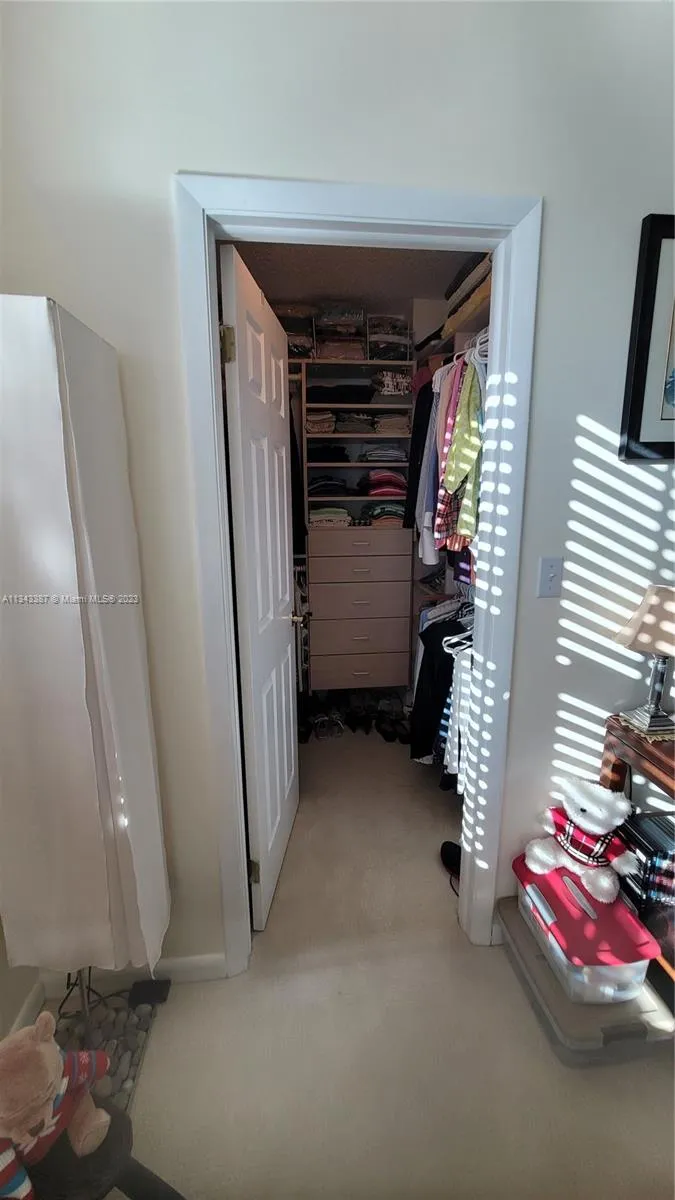 St Louis Condo #1305 image #46