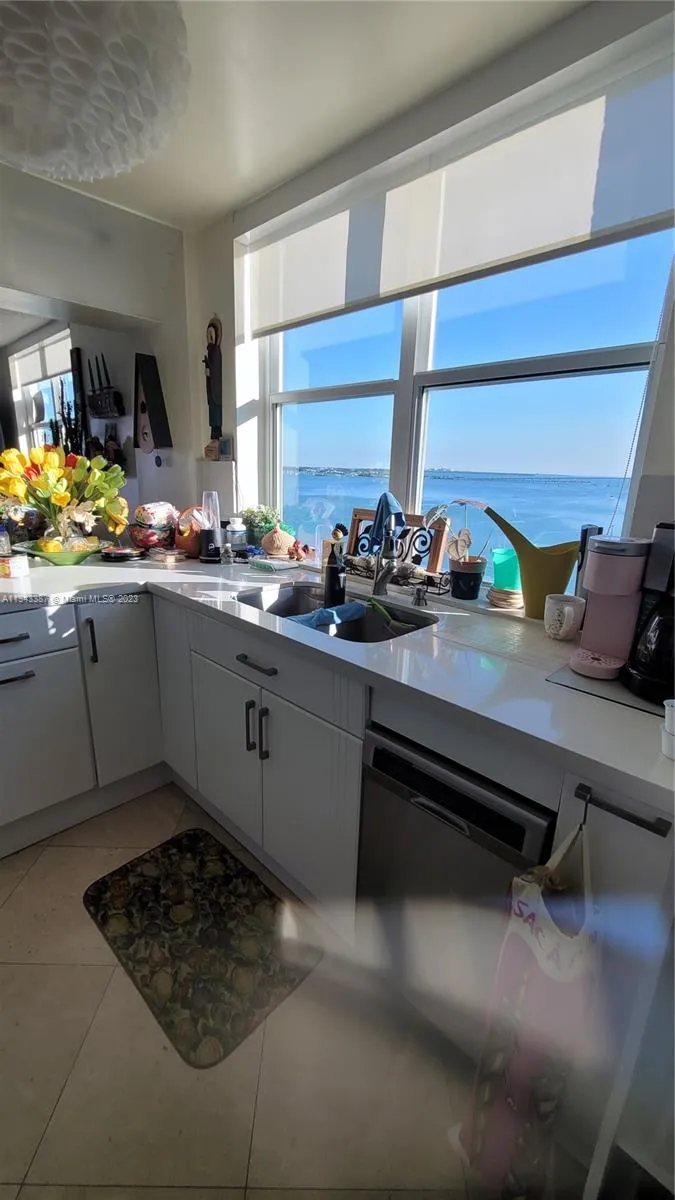 St Louis Condo #1305 image #77