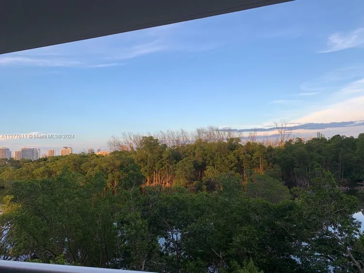 The Harbour #318 image #19