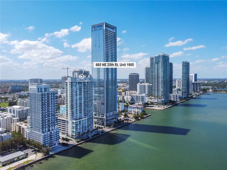 Onyx #1905 image #26