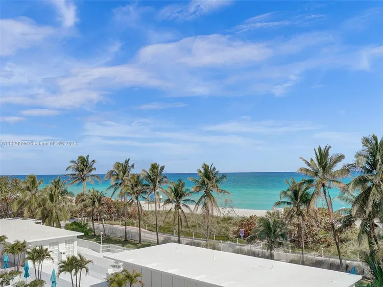 The Alexander #502 image #22