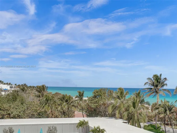 The Alexander #502 image #23