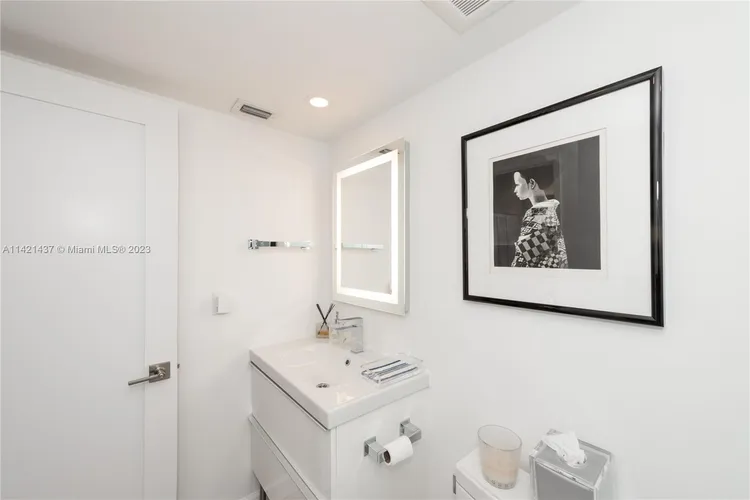 Biltmore II #306 image #22