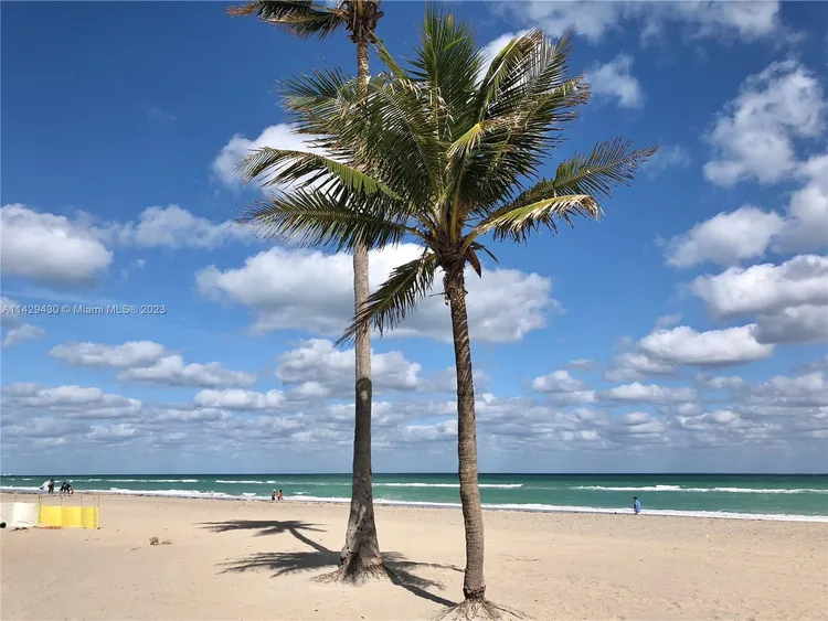 One Fifty One At Biscayne #1905 image #42