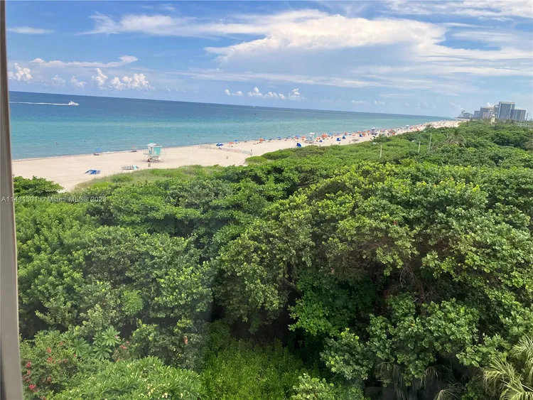 Tropicana #602 image #21