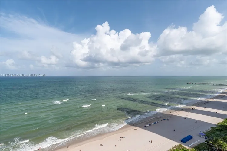 Sole #1802 image #37