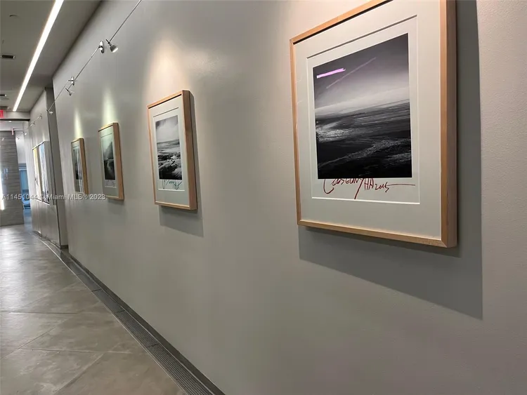 Palau Sunset Harbour #412 image #75